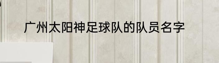 广州太阳神足球队的队员名字