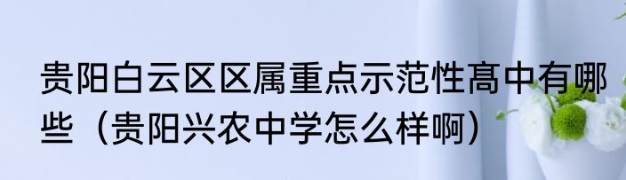 贵阳白云区区属重点示范性髙中有哪些（贵阳兴农中学怎么样啊）