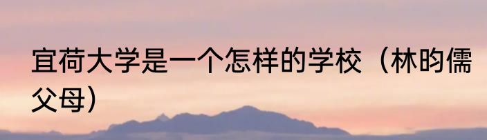 宜荷大学是一个怎样的学校（林昀儒父母）