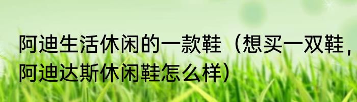 阿迪生活休闲的一款鞋（想买一双鞋，阿迪达斯休闲鞋怎么样）
