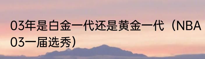 03年是白金一代还是黄金一代（NBA03一届选秀）