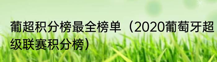 葡超积分榜最全榜单（2020葡萄牙超级联赛积分榜）
