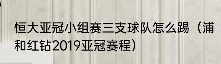 恒大亚冠小组赛三支球队怎么踢（浦和红钻2019亚冠赛程）