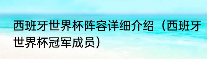 西班牙世界杯阵容详细介绍（西班牙世界杯冠军成员）