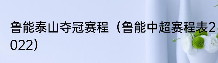 鲁能泰山夺冠赛程（鲁能中超赛程表2022）
