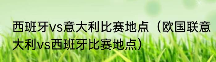 西班牙vs意大利比赛地点（欧国联意大利vs西班牙比赛地点）