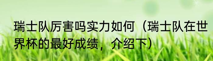 瑞士队厉害吗实力如何（瑞士队在世界杯的最好成绩，介绍下）
