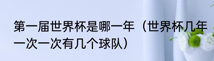 第一届世界杯是哪一年（世界杯几年一次一次有几个球队）