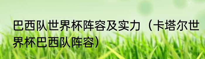 巴西队世界杯阵容及实力（卡塔尔世界杯巴西队阵容）