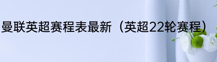 曼联英超赛程表最新（英超22轮赛程）