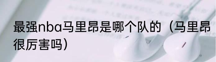 最强nba马里昂是哪个队的（马里昂很厉害吗）