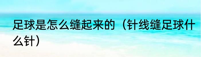 足球是怎么缝起来的（针线缝足球什么针）