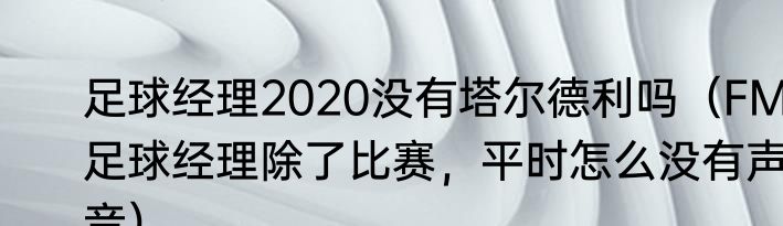 足球经理2020没有塔尔德利吗（FM足球经理除了比赛，平时怎么没有声音）