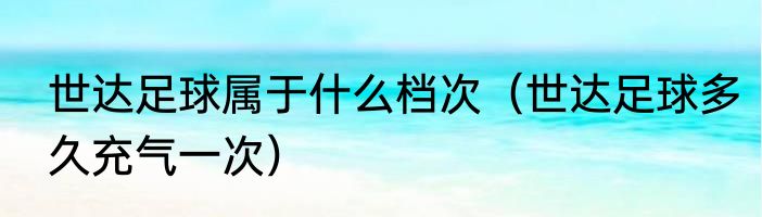 世达足球属于什么档次（世达足球多久充气一次）