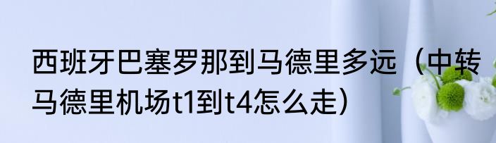 西班牙巴塞罗那到马德里多远（中转马德里机场t1到t4怎么走）