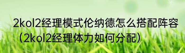 2kol2经理模式伦纳德怎么搭配阵容（2kol2经理体力如何分配）
