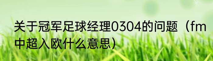 关于冠军足球经理0304的问题（fm中超入欧什么意思）