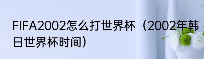 FIFA2002怎么打世界杯（2002年韩日世界杯时间）