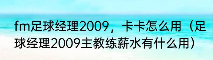 fm足球经理2009，卡卡怎么用（足球经理2009主教练薪水有什么用）