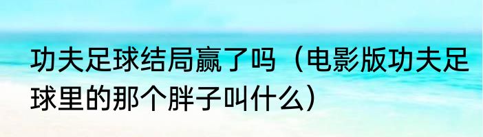 功夫足球结局赢了吗（电影版功夫足球里的那个胖子叫什么）