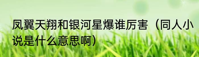 凤翼天翔和银河星爆谁厉害（同人小说是什么意思啊）