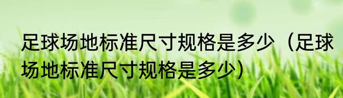 足球场地标准尺寸规格是多少（足球场地标准尺寸规格是多少）
