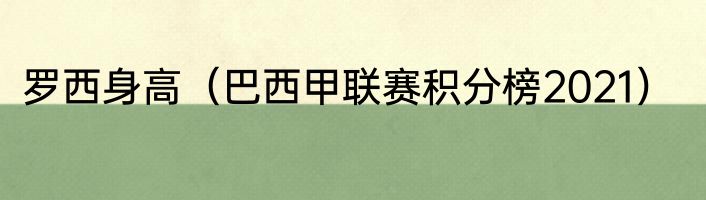 罗西身高（巴西甲联赛积分榜2021）