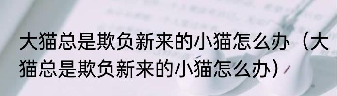 大猫总是欺负新来的小猫怎么办（大猫总是欺负新来的小猫怎么办）