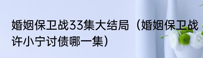婚姻保卫战33集大结局（婚姻保卫战许小宁讨债哪一集）