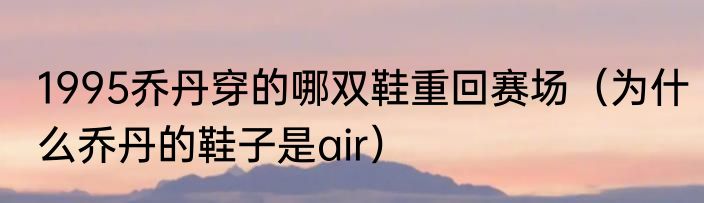 1995乔丹穿的哪双鞋重回赛场（为什么乔丹的鞋子是air）