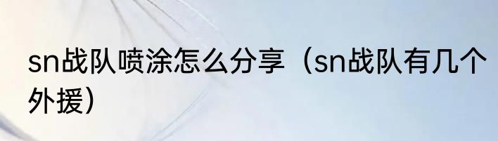 sn战队喷涂怎么分享（sn战队有几个外援）