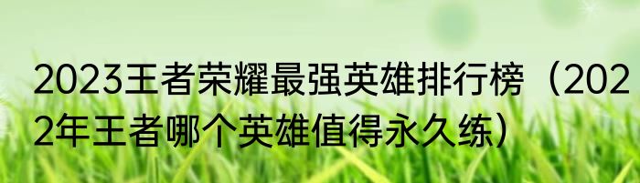 2023王者荣耀最强英雄排行榜（2022年王者哪个英雄值得永久练）