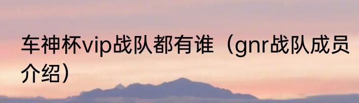 车神杯vip战队都有谁（gnr战队成员介绍）