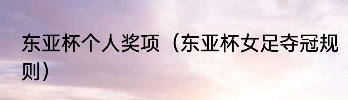 东亚杯个人奖项（东亚杯女足夺冠规则）