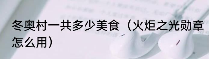 冬奥村一共多少美食（火炬之光勋章怎么用）