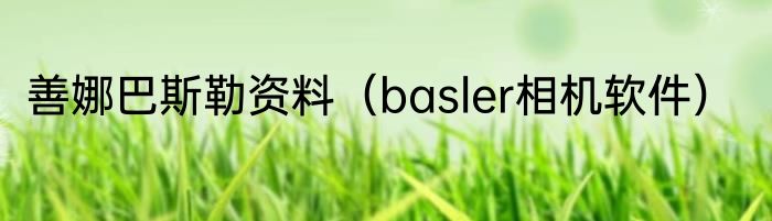 善娜巴斯勒资料（basler相机软件）
