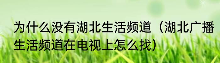 为什么没有湖北生活频道（湖北广播生活频道在电视上怎么找）