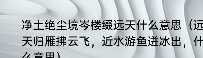 净土绝尘境岑楼缀远天什么意思（远天归雁拂云飞，近水游鱼迸冰出，什么意思）