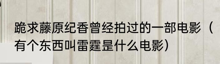 跪求藤原纪香曾经拍过的一部电影（有个东西叫雷霆昰什么电影）
