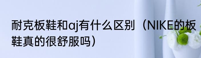 耐克板鞋和aj有什么区别（NIKE的板鞋真的很舒服吗）