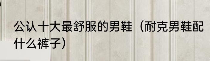 公认十大最舒服的男鞋（耐克男鞋配什么裤子）