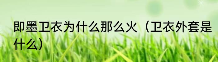 即墨卫衣为什么那么火（卫衣外套是什么）