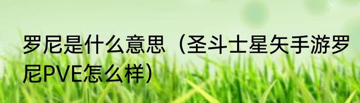 罗尼是什么意思（圣斗士星矢手游罗尼PVE怎么样）