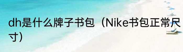 dh是什么牌子书包（Nike书包正常尺寸）