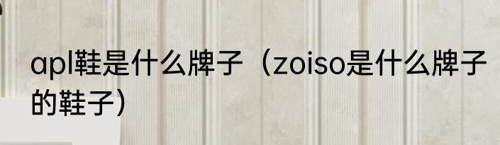 apl鞋是什么牌子（zoiso是什么牌子的鞋子）