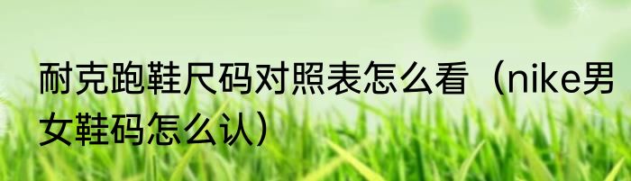 耐克跑鞋尺码对照表怎么看（nike男女鞋码怎么认）