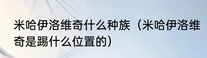 米哈伊洛维奇什么种族（米哈伊洛维奇是踢什么位置的）