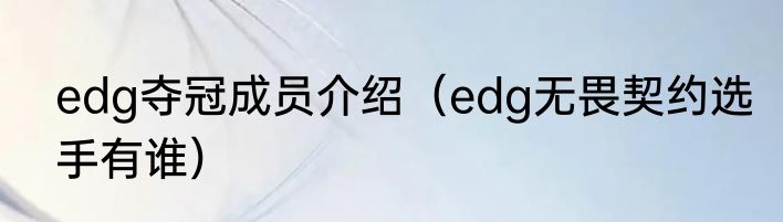 edg夺冠成员介绍（edg无畏契约选手有谁）