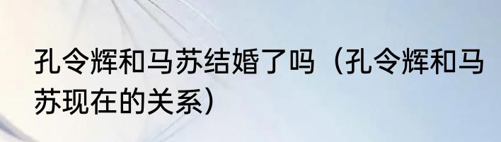 孔令辉和马苏结婚了吗（孔令辉和马苏现在的关系）