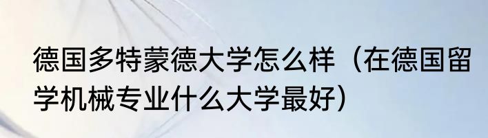 德国多特蒙德大学怎么样（在德国留学机械专业什么大学最好）